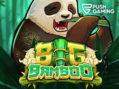 Casino bedava slot oyunları23